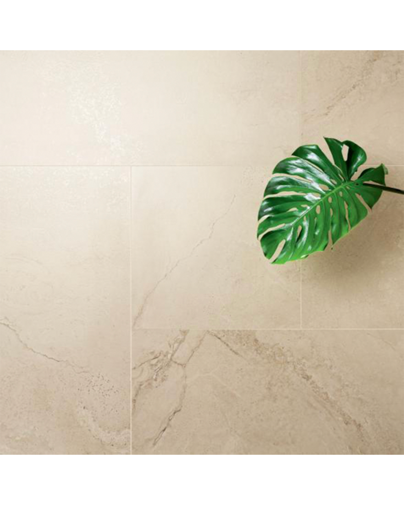 massa-1_min_1-680x681