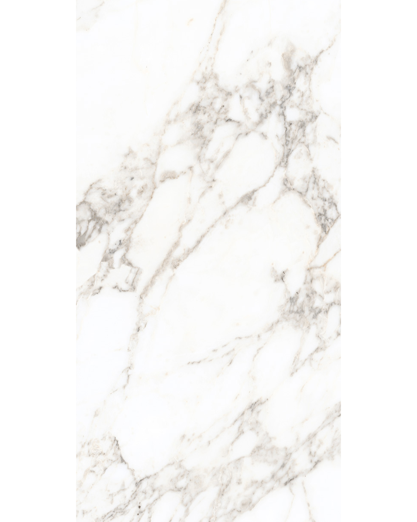 lAMAR PORCELAIN carrara ultimo